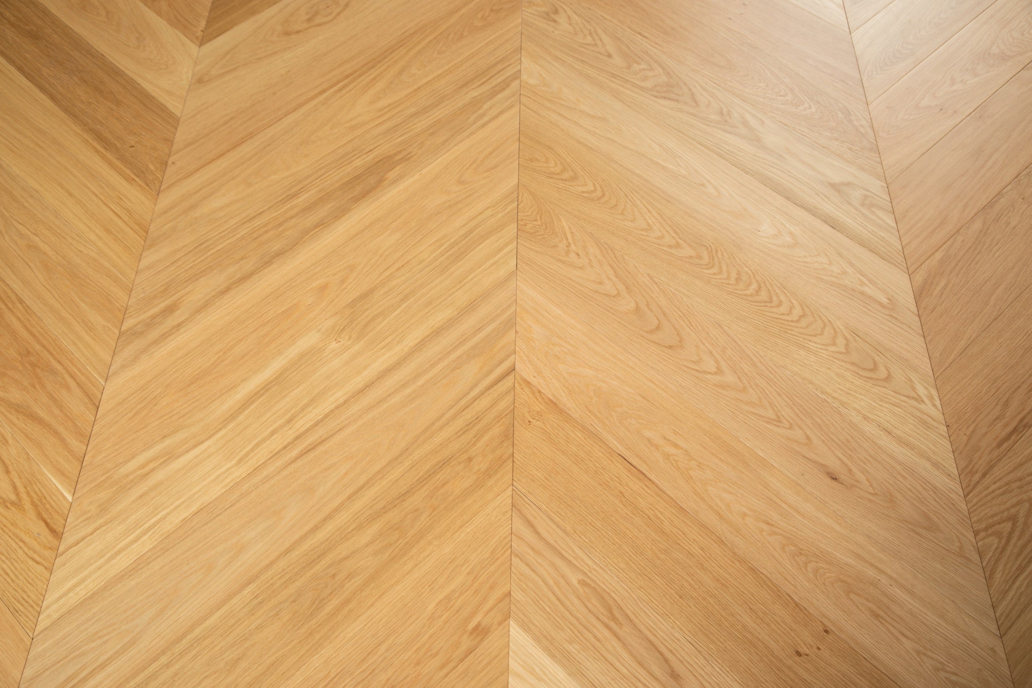 ARK Floors 多層實木複合地板 - 玫費利瓦