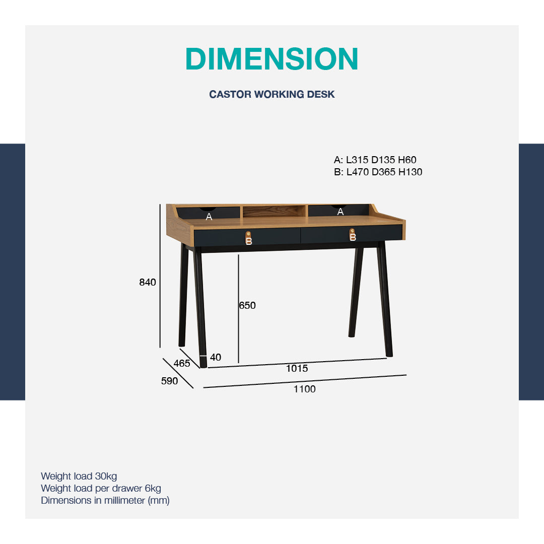 馬來西亞原裝進口實木傢俬 - LU系列 - CASTOR書桌